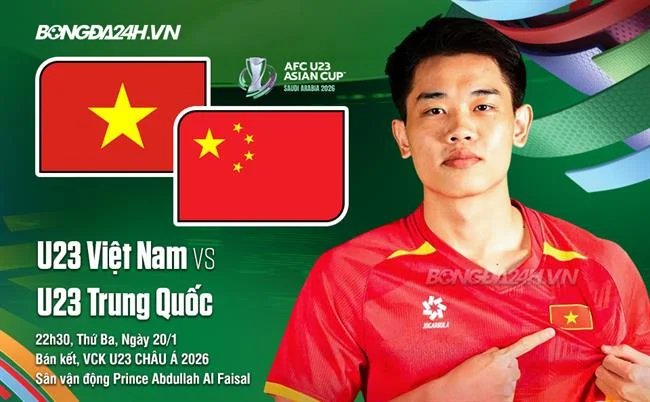 Hoàn trả đá gà hàng ngày
